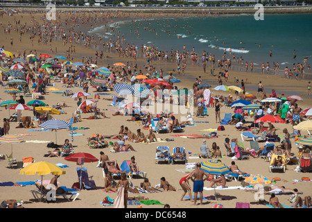 Lucertole da mare spiaggia Sardinero SANTANDER Cantabria Spagna Foto Stock