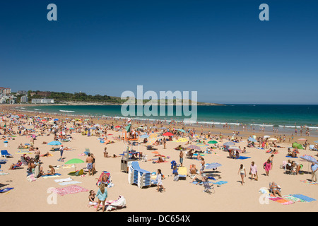 Lucertole da mare spiaggia Sardinero SANTANDER Cantabria Spagna Foto Stock