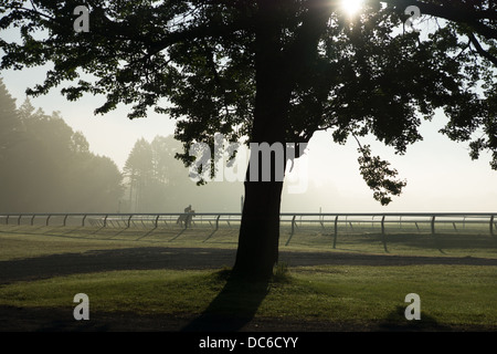 Agosto 2, 2013 Saratoga Springs è stato il sito di trottatore racing nel 1847 le prime corse di purosangue ha avuto luogo il Foto Stock