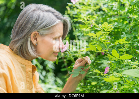 Senior donna odore di fiore Foto Stock