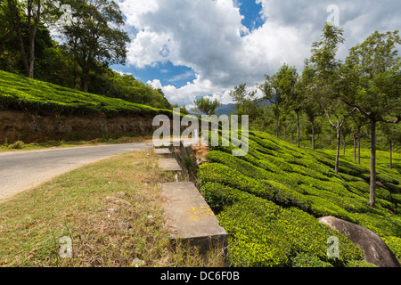 La strada attraverso piantagioni in India. Provincia Kerala Foto Stock