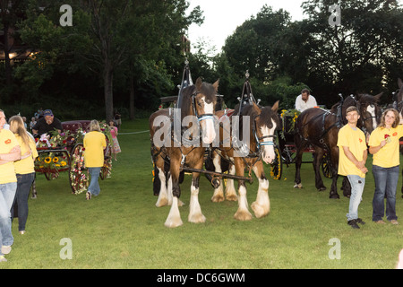 Agosto 2, 2013, Saratoga Springs, NY. Cavallo e carri in "Floral Fete Promenade", una tradizionale sfilata. Foto Stock