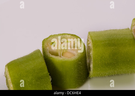 Close up a dadini di okra pod. Foto Stock