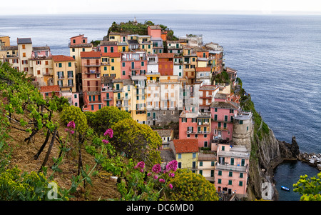 Manarola, uno dei pittoreschi villaggi in Cinque terre in Italia. Foto Stock