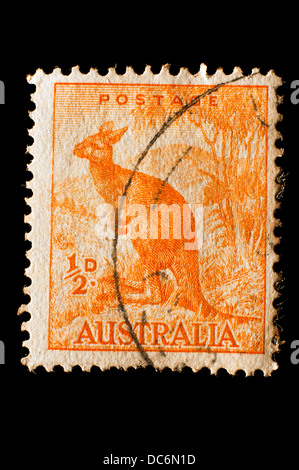 Orange kangaroo Australia francobollo Foto Stock