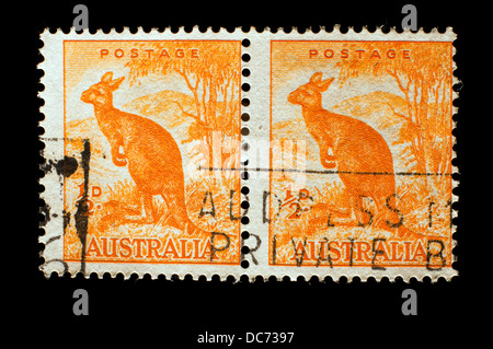 Orange kangaroo Australia francobollo Foto Stock