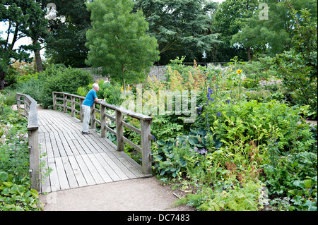 RHS Hyde Hall, Essex, Regno Unito Foto Stock