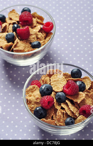 Fiocchi di cereali con lampone e mirtillo nel contenitore in vetro Foto Stock