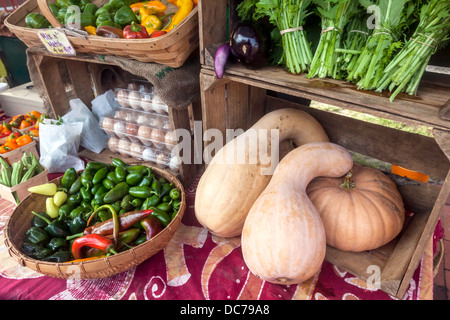 Organici e cimelio di verdure e uova da allevamento in vendita compresi peperoni, melanzane, squash e verdi. Foto Stock