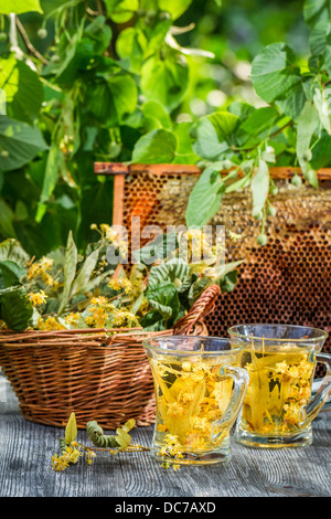 Estate tè fatto di calce e miele servite in giardino Foto Stock