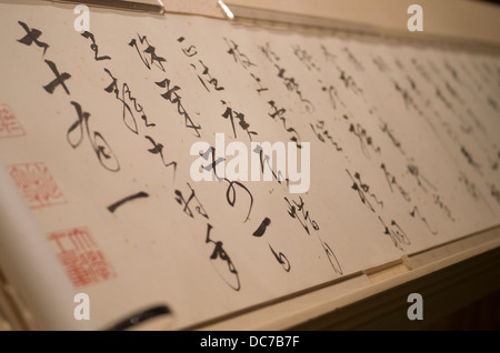 Scorrere con la calligrafia, il Museo di Shanghai e Shanghai, Cina Foto Stock