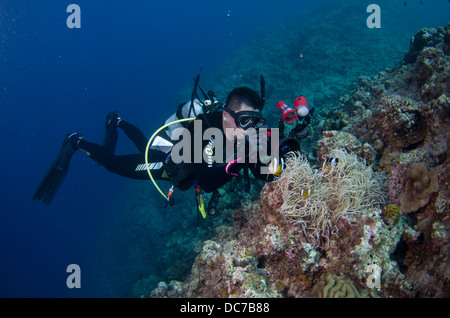 Scuba Diver fotografo scattare foto subacquee, Cape Maeda, Okinawa Foto Stock