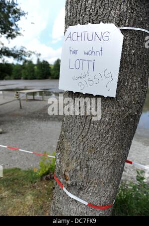 Un segno fatto da un gruppo di ragazze si blocca su un albero e legge "Attenzione, qui vive Lotti. Prendere l'auto: vizioso' a Oggenrieder Weiher in Irsee, Germania, 11 agosto 2013. Un alligatore scatto turtle ha picchiato un ragazzo al lago Oggenrieder Weiher. Il lago è ora chiusa per nuotatori e verrà scaricato al fine di catturare la tartaruga. Foto: ANDREAS GEBERT Foto Stock