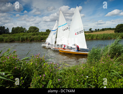 Laser a tre barche a vela racing a Beccles sailing club. Foto Stock