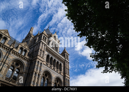 Vista esterna del Museo di Storia Naturale di Londra sulla giornata di sole, gli alberi in primo piano Foto Stock