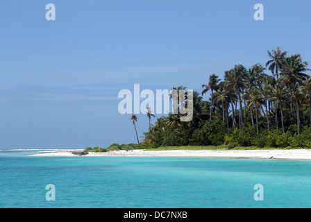 Spiaggia con sabbia bianca e palme di cocco, Olhuveli Island, South Male Atoll, Maldive Foto Stock