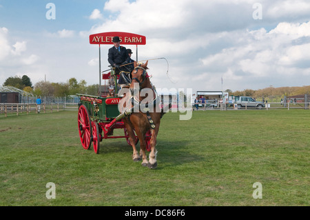 Suffolk Horse Show 2013 pesanti scambi di cavalli. Ipswich Showgrounds, Ipswich, Suffolk, Regno Unito. Foto Stock