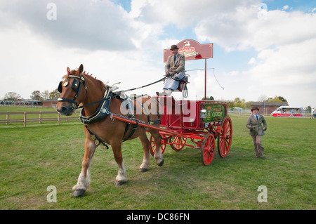 Suffolk Horse Show 2013 pesanti scambi di cavalli. Ipswich Showgrounds, Ipswich, Suffolk, Regno Unito. Foto Stock