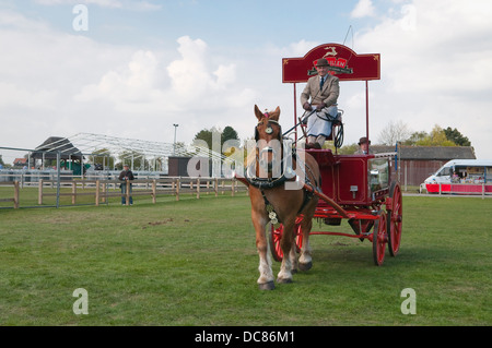 Suffolk Horse Show 2013 pesanti scambi di cavalli. Ipswich Showgrounds, Ipswich, Suffolk, Regno Unito. Foto Stock