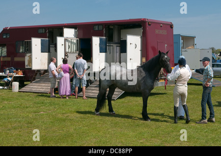 Cavallo accanto a cavallo carrello a Suffolk Horse Show a Ipswich, Regno Unito. Foto Stock