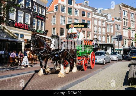 Un carrello horsedrawn dalla Birreria Heineken ad Amsterdam essendo tirato lungo Spui. Foto Stock