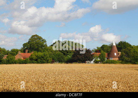 Tempo del raccolto, East Sussex. Inghilterra Gran Bretagna Regno Unito. Campo di grano e Oast House. Foto Stock