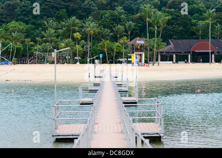 Peer in legno di moderna e pulita spiaggia tropicale con palme sullo sfondo. Il fuoco selettivo sulla parte anteriore. Foto Stock