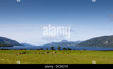 LOCH NESS Scozia nei pressi del villaggio di DORES SU UN luglio mattina Foto Stock