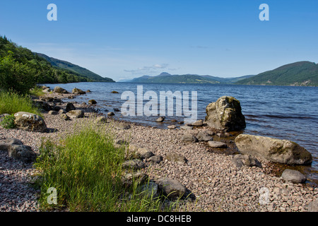 LOCH NESS Scozia litorale con erbe di estate Foto Stock