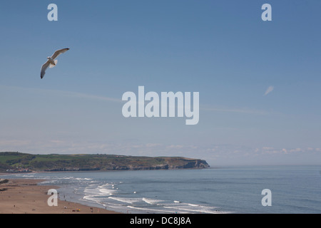 Una vista di tutta la baia di Whitby con un gabbiano volare nel cielo blu brillante. Foto Stock