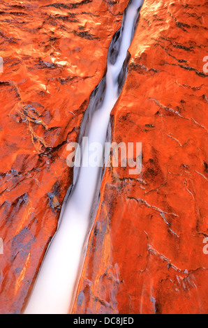 L'acqua che scorre in una fessura nella roccia arenaria nel Parco Nazionale di Zion, Utah, Stati Uniti d'America Foto Stock