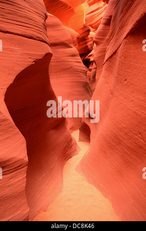 Pareti strette di abbassare Antelope Canyon vicino a pagina, Arizona, Stati Uniti d'America Foto Stock