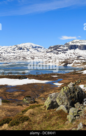 Lago Kjelavatn con ghiaccio e neve in alta brughiera plateau all'inizio dell'estate. Hardanger, Telemark, Norvegia e Scandinavia Foto Stock