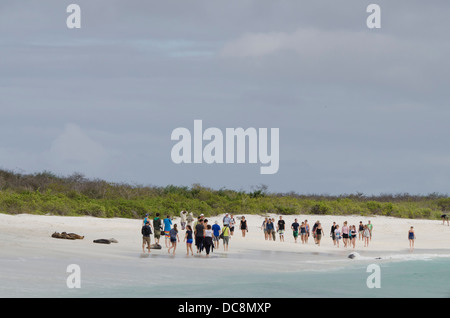 Ecuador, Galapagos, all'Isola Espanola (aka Cappa isola), Baia Gardner. Affollata spiaggia Galapagos. Turisti in giro i leoni di mare. Foto Stock