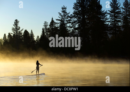 Una donna, , si stagliano Stand Up Paddleboarding (SUP) all'alba nella nebbia in Lake Tahoe, CA. Foto Stock