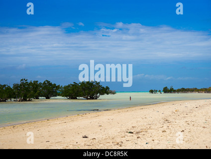 Mare e mangrovie, Quirimba Isola, Mozambico Foto Stock