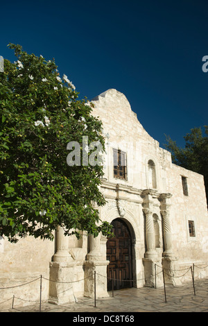 ALAMO LA MISSIONE DI SAN ANTONIO DE VALERO Alamo Plaza Downtown San Antonio Texas USA Foto Stock