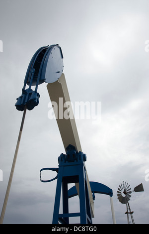 Annuendo asino MARTINETTO DELLA POMPA OLIO E TEXAS USA Foto Stock