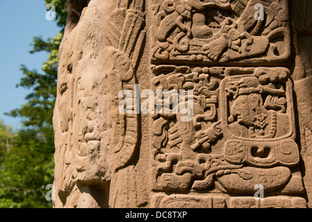 Guatemala, Quirigua rovine Maya parco archeologico (UNESCO). Dettaglio del riccamente intagliato stele di pietra. Foto Stock