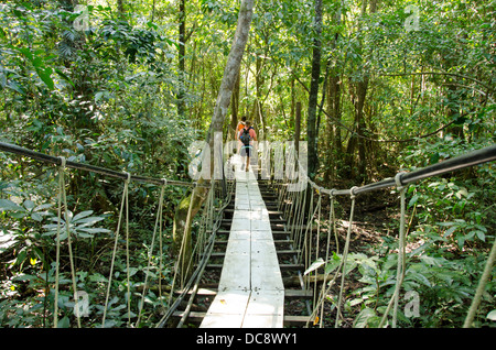 Guatemala, Rio Dulce, Hacienda Tijax Jungle Lodge. La natura e la giungla baldacchino escursione. Foto Stock