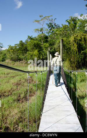 Guatemala, Rio Dulce, Hacienda Tijax Jungle Lodge. La natura e la giungla escursione sul sentiero sopraelevato. (MR). Foto Stock