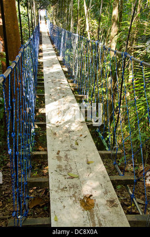 Guatemala, Rio Dulce, Hacienda Tijax Jungle Lodge. La natura e la tettoia della giungla passeggiata sopraelevata, ponte nella giungla. Foto Stock