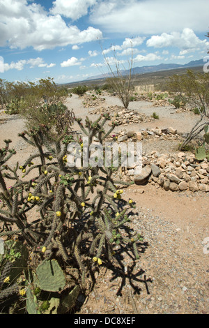 GRAVES Boot Hill Cimitero TOMBSTONE ARIZONA USA Foto Stock