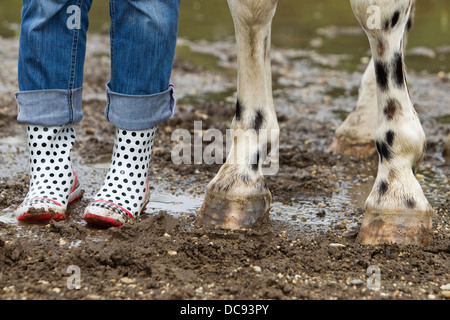 Knabstrupper punteggiate di cavallo gambe anteriori e gli stivali da pioggia a pois accanto a ogni altro fango Foto Stock