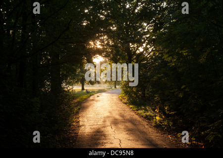 La mattina presto su Hampstead Heath, Londra, Inghilterra. Foto Stock