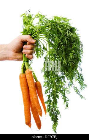 Maschio lato tiene fuori mazzetto di carote, isolati su sfondo bianco Foto Stock