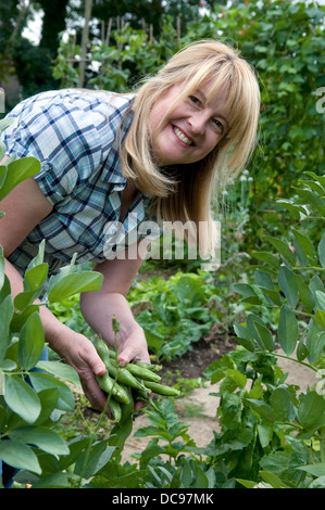 La donna caucasica holding manciata di appena raccolto cresciuto in casa fave in giardino a Bristol, Regno Unito Foto Stock