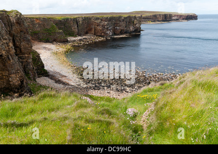 Scogliere a Mull testa sulla penisola di Deerness, Continentale, Orkney. Foto Stock