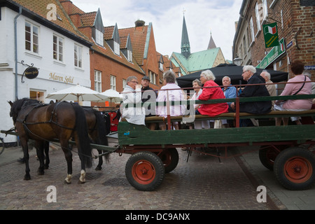 Ribe Danimarca UE turisti tenendo tour della città storica a cavallo e carrello Foto Stock