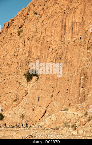 Arrampicata su roccia in Todra Gorge vicino a Tinerhir, Marocco Foto Stock